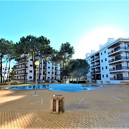 Pinheiro Sol Na Da Falesia *
